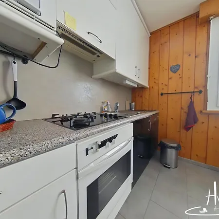 Les Hauteurs Du Lac, Proche Pistes Apartamento